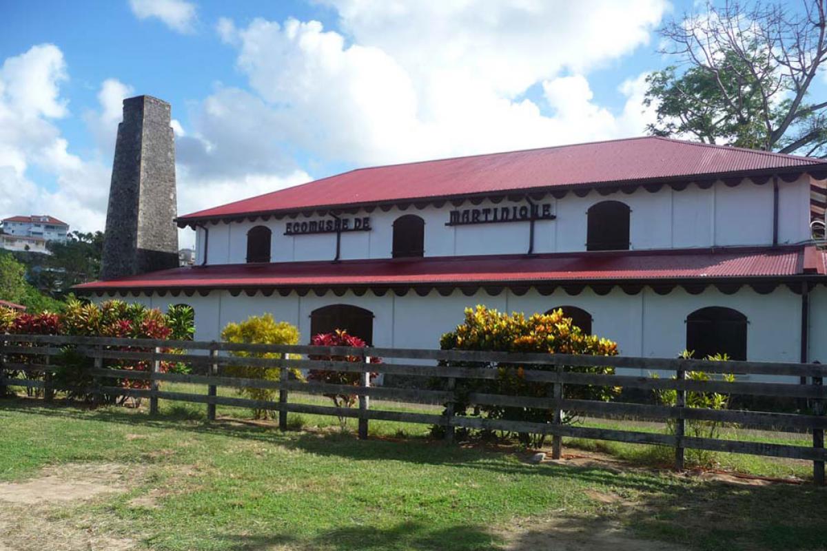 Anse Figuier beach - Ecomuseum of Martinique