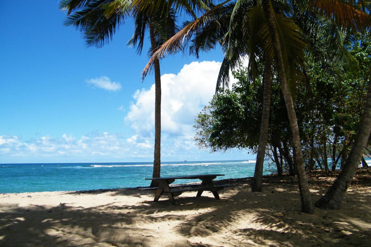 Anse l'Etang - table pic nique