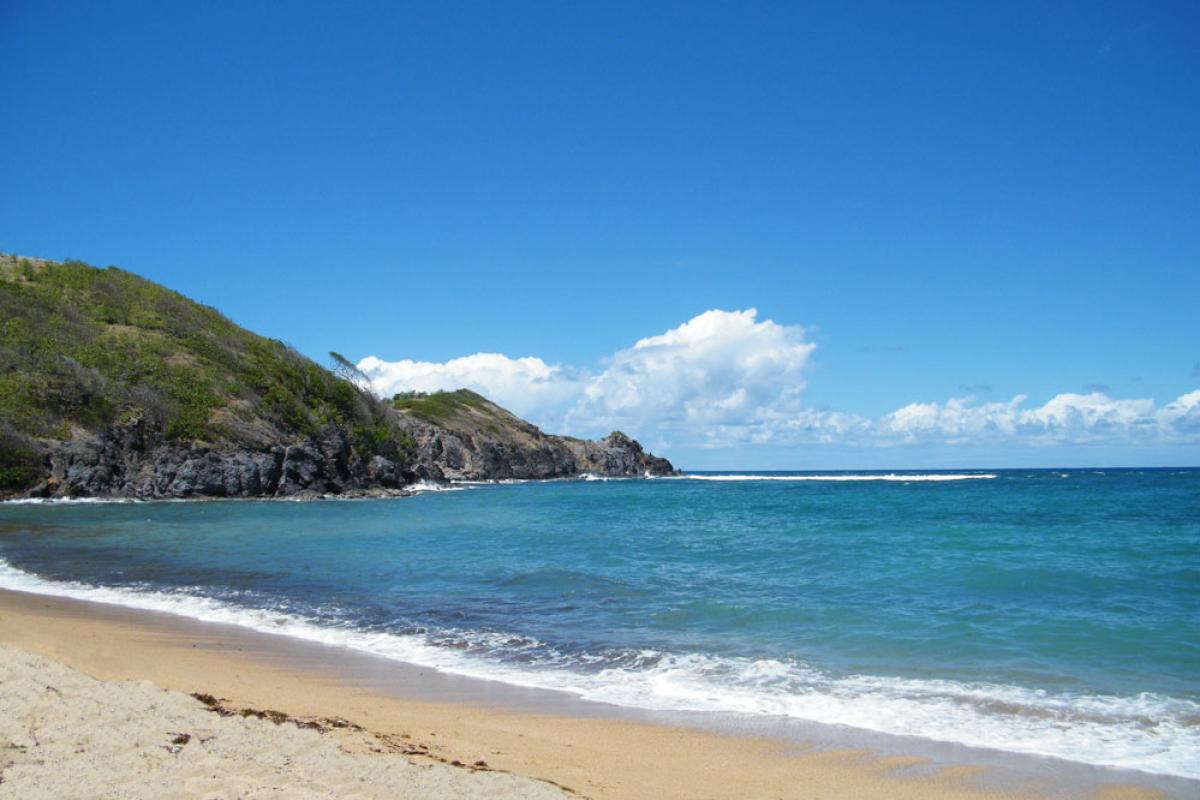 Anse l'Etang