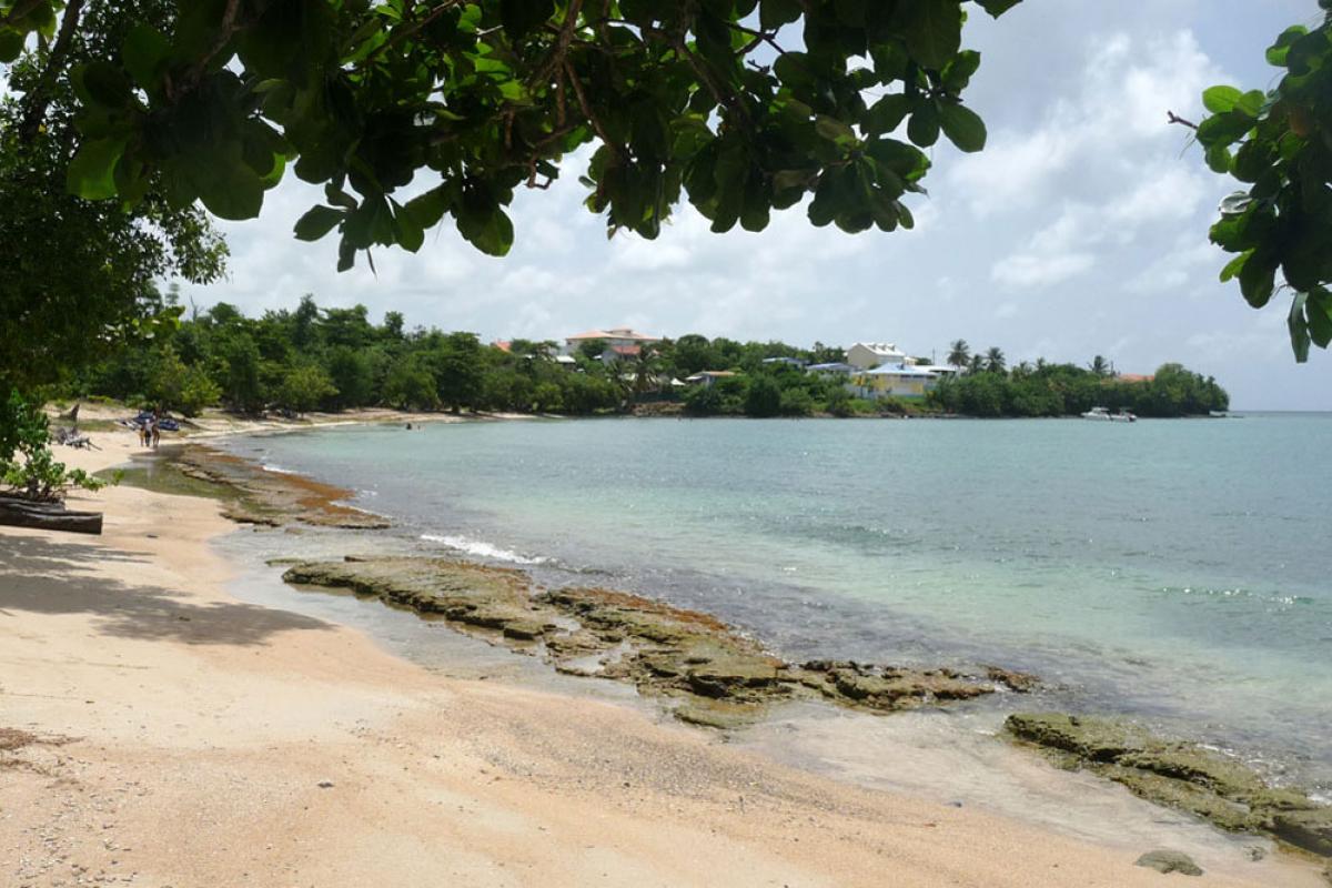 Anse Mabouya