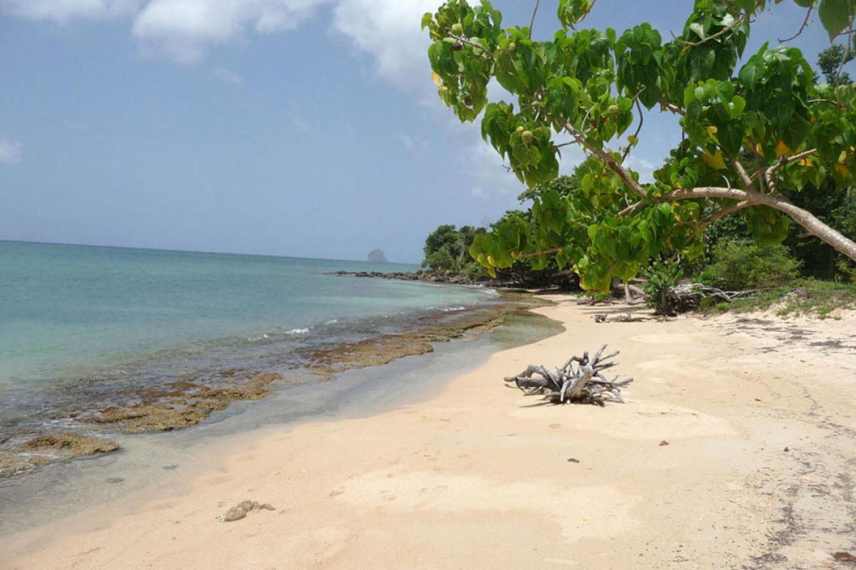 Anse Mabouya