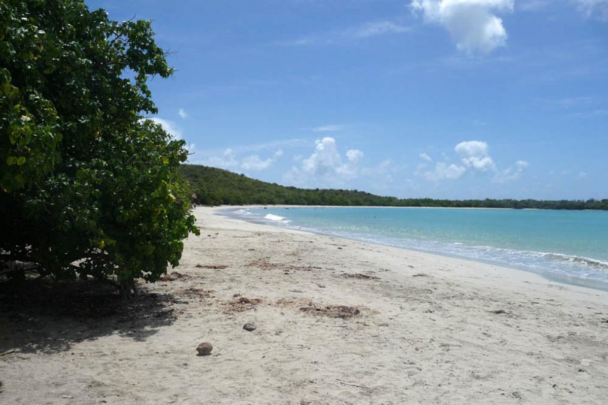 Anse Meunier beach - White fine sand