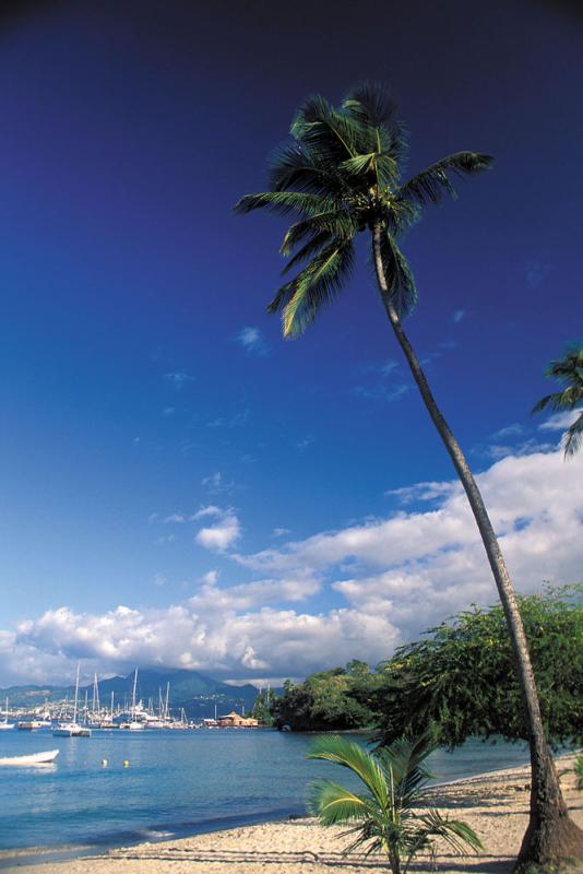 Vue sur Fort de France