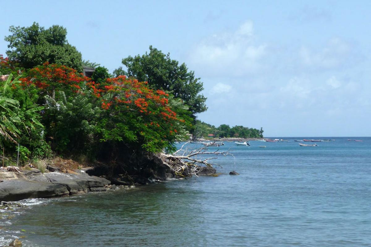 Plage de Petite Anse aux Anses d'Arlet