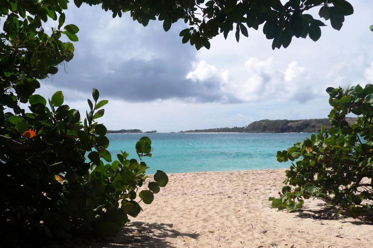 Arrivée à la plage