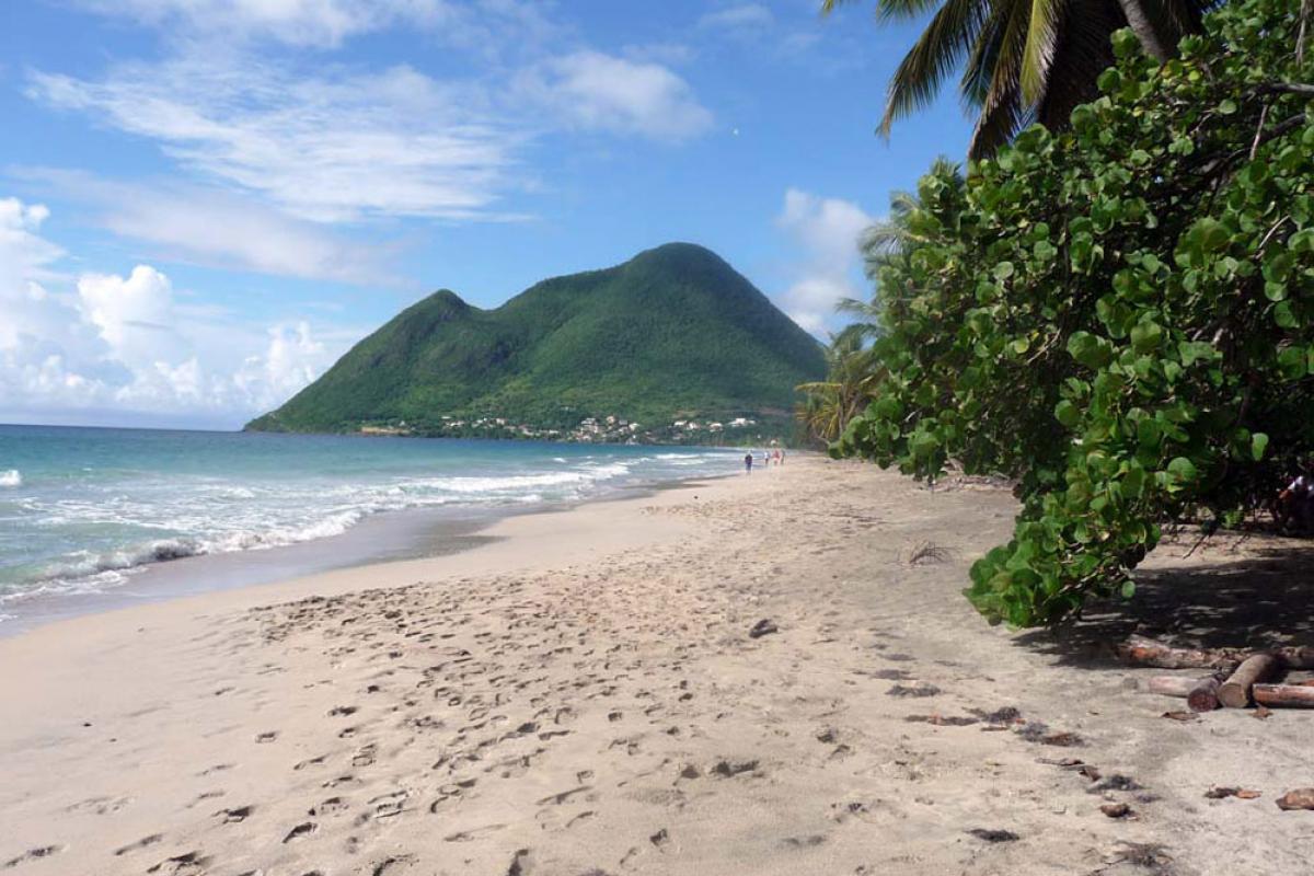 Beach of the Diamant - Sand