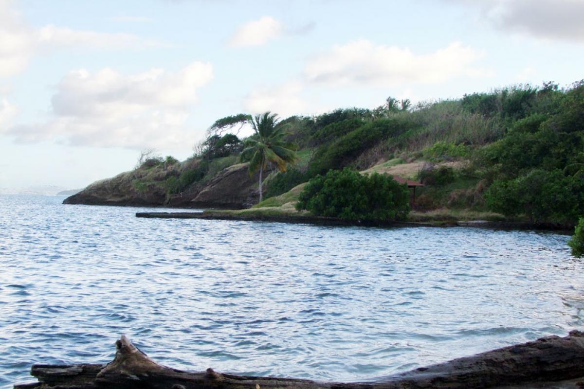 Plage de Pointe la Rose