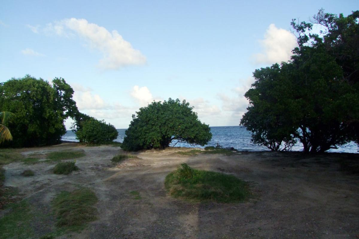 Plage de Pointe la Rose