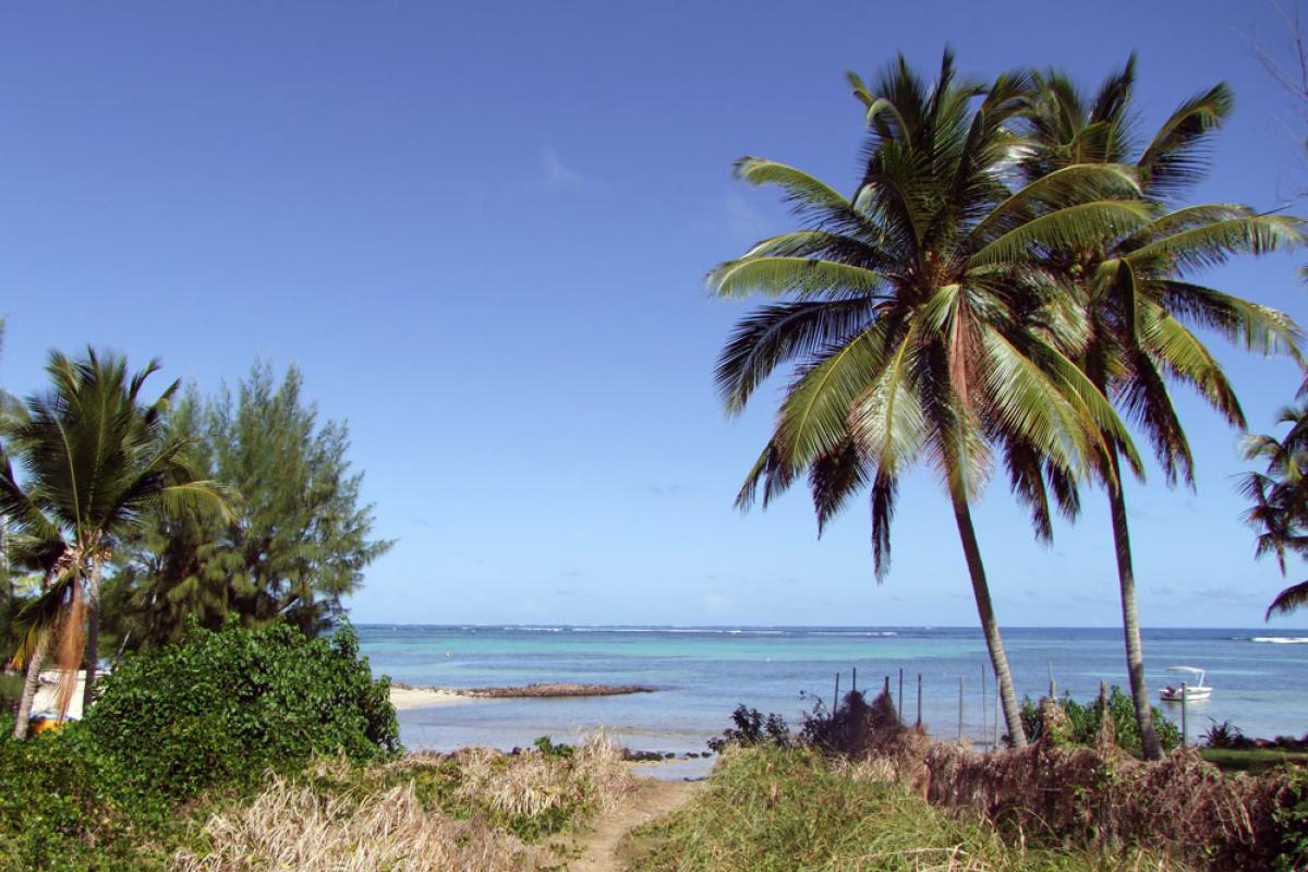 Plage du Cap Est