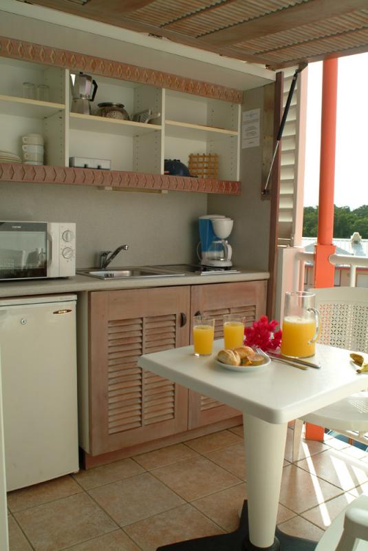 Terrace and kitchenette