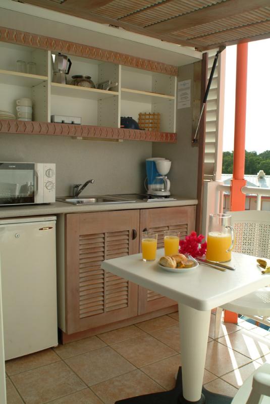 Terrasse et kitchenette