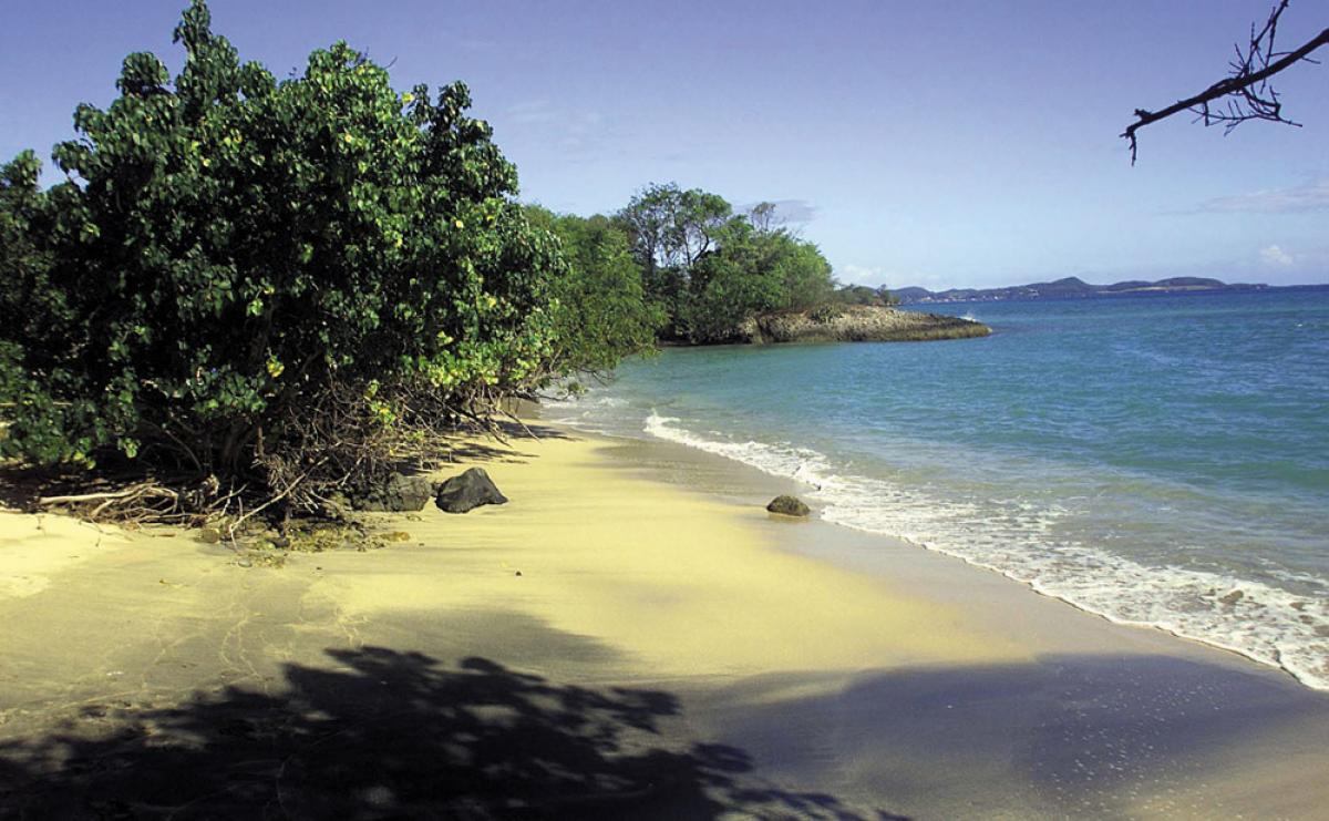 Beach