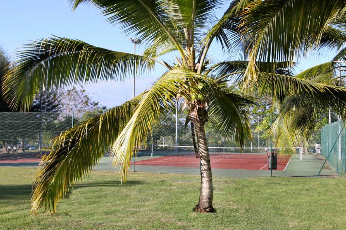 Résidence Prao - Court de tennis