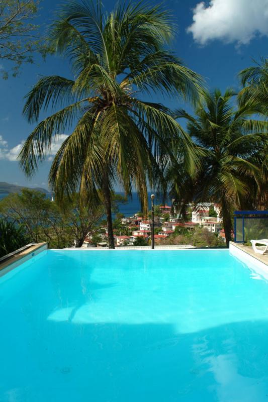 The swimming pool