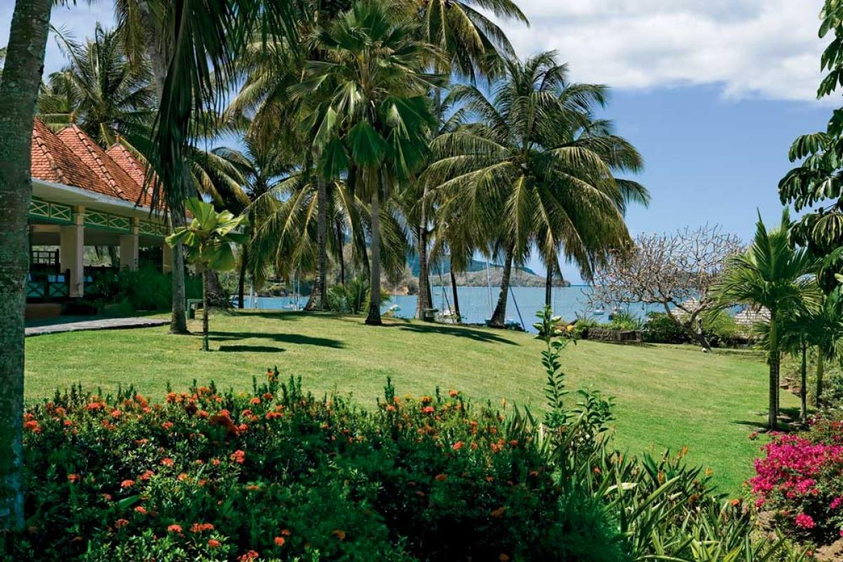 Jardin tropical