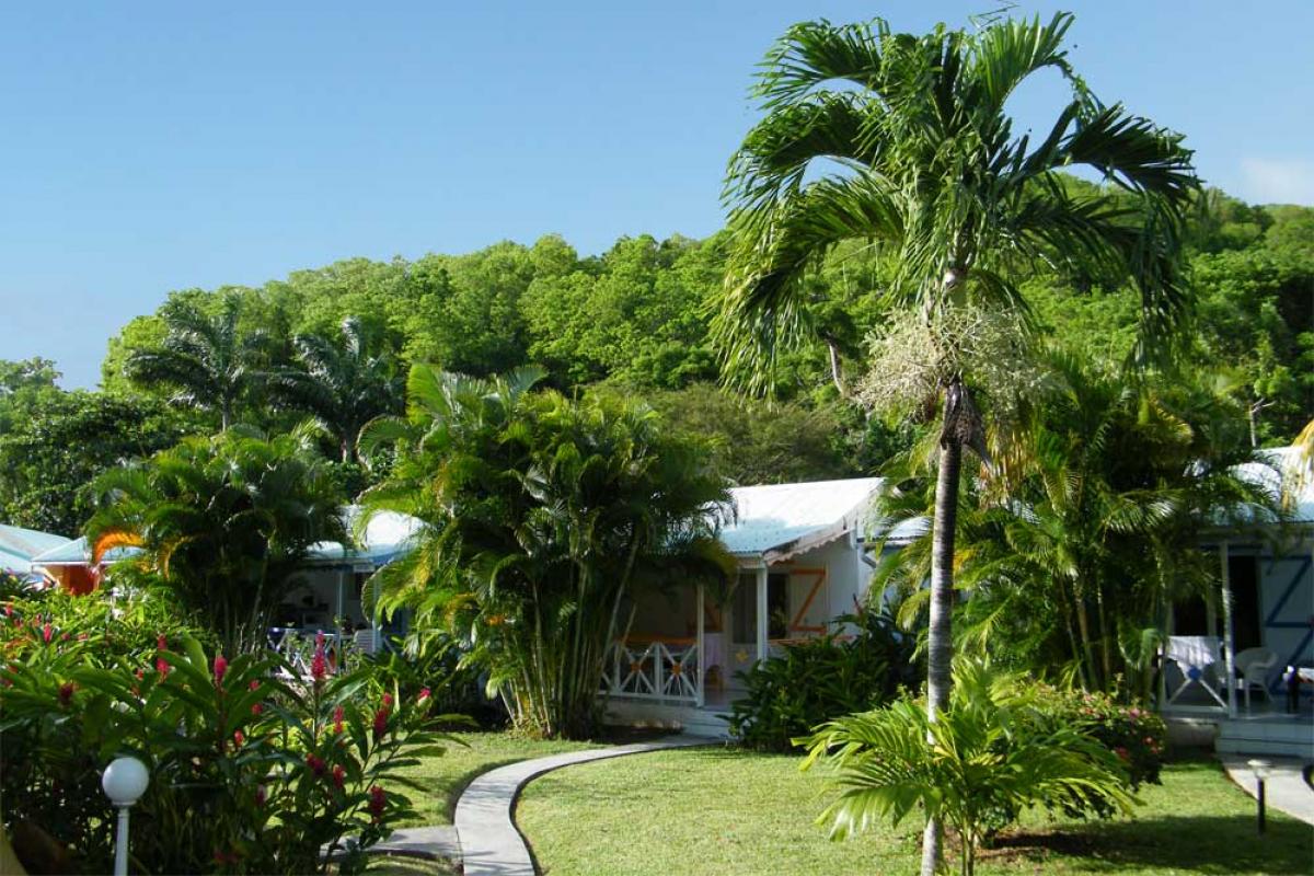 Résidence Fleurs des Iles - Deshaies - Guadeloupe - Bungalow