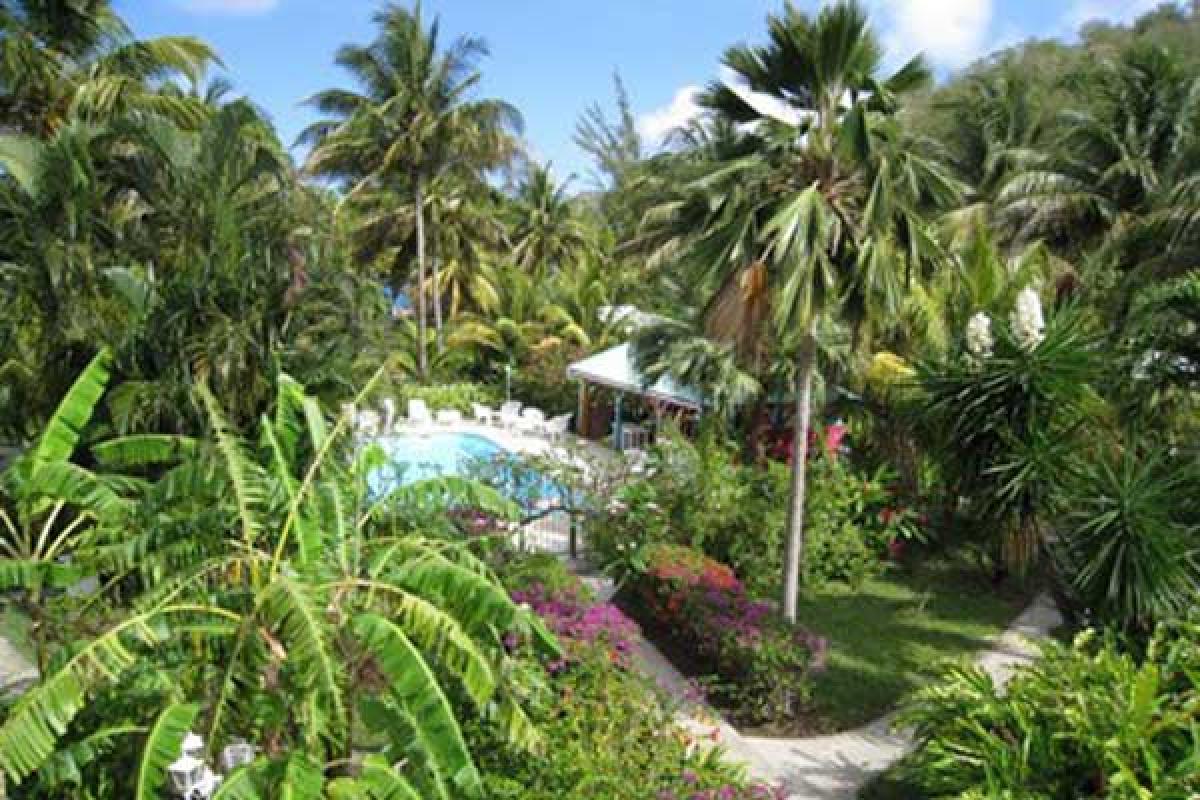 Résidence Fleurs des Iles - Deshaies - Guadeloupe - Piscine