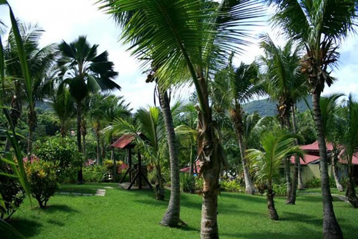 Habitation Grande Anse - Le parc