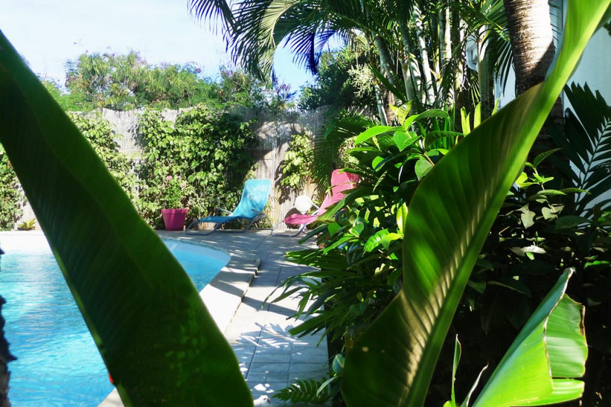 Rental villa Guadeloupe - the pool