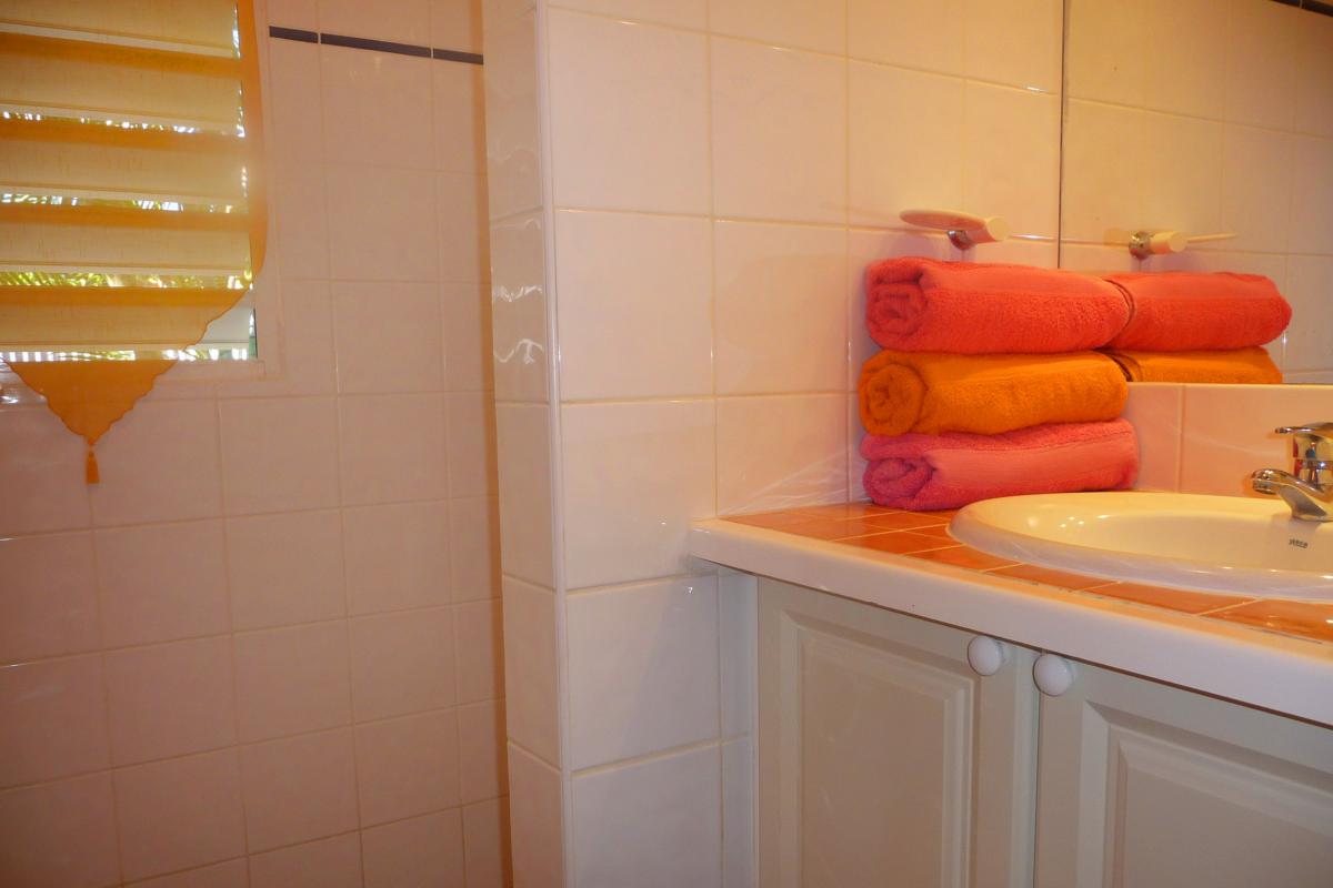 Rental villa Guadeloupe - Villa Indigo jacuzzi