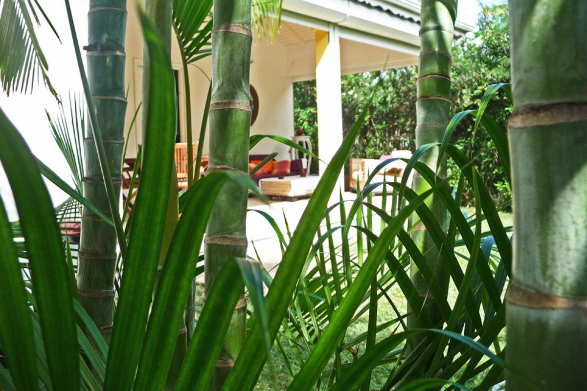 Rental villa Guadeloupe - Villa Jasmin terrace and garden