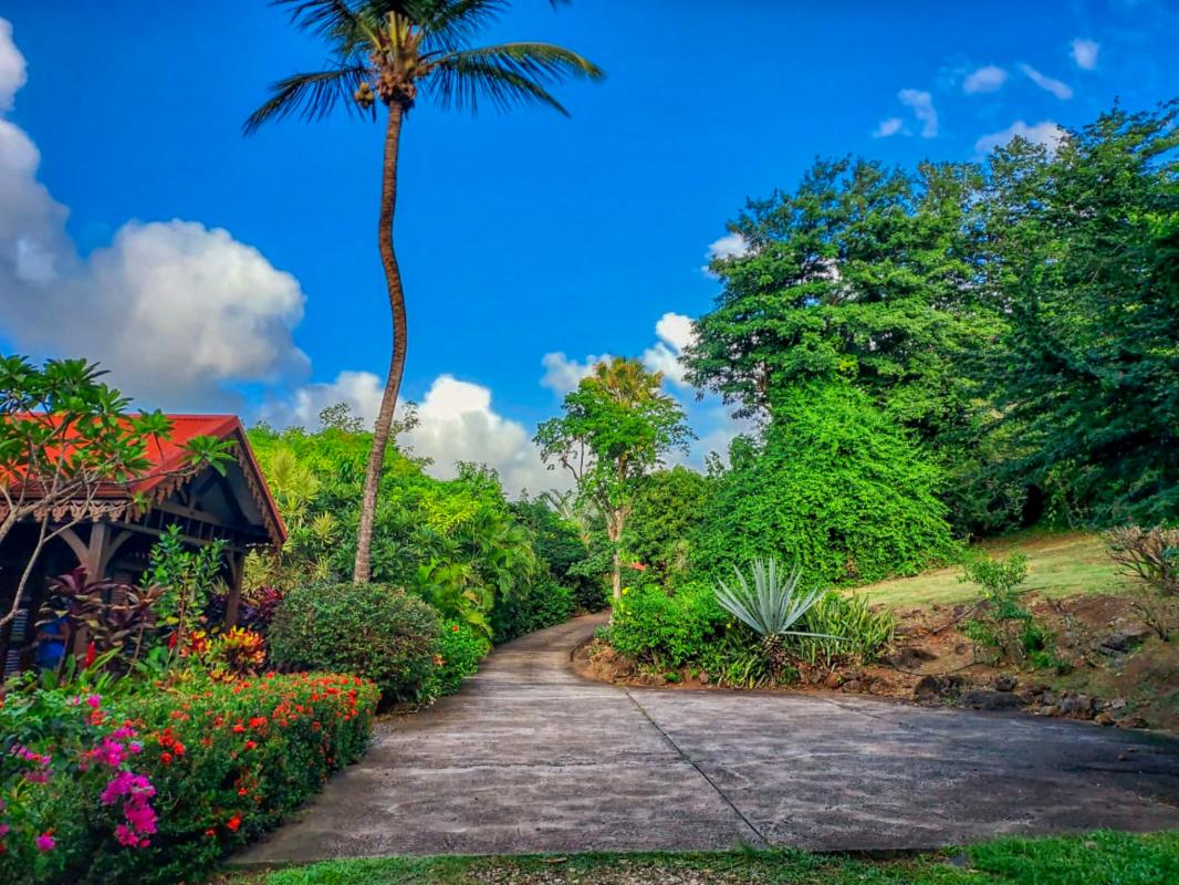 Location villa coluche pour 11 personnes avec vue mer dans jardin botanique deshaies guadeloupe