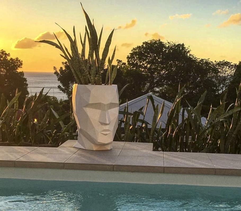Location villa piscine Deshaies Guadeloupe_piscine