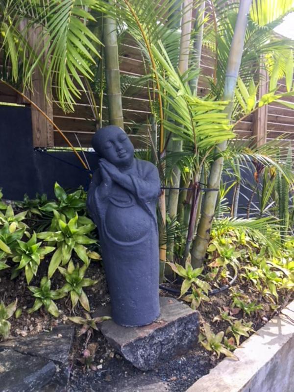 Location villa piscine Deshaies Guadeloupe_deco exterieure