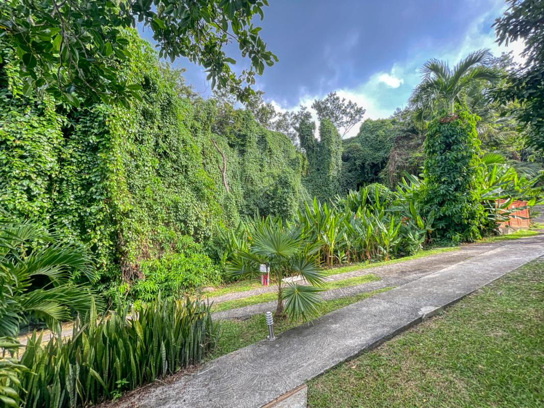 Location jungle lodge pour 4 personnes avec piscine au jardin des colibris deshaies en guadeloupe