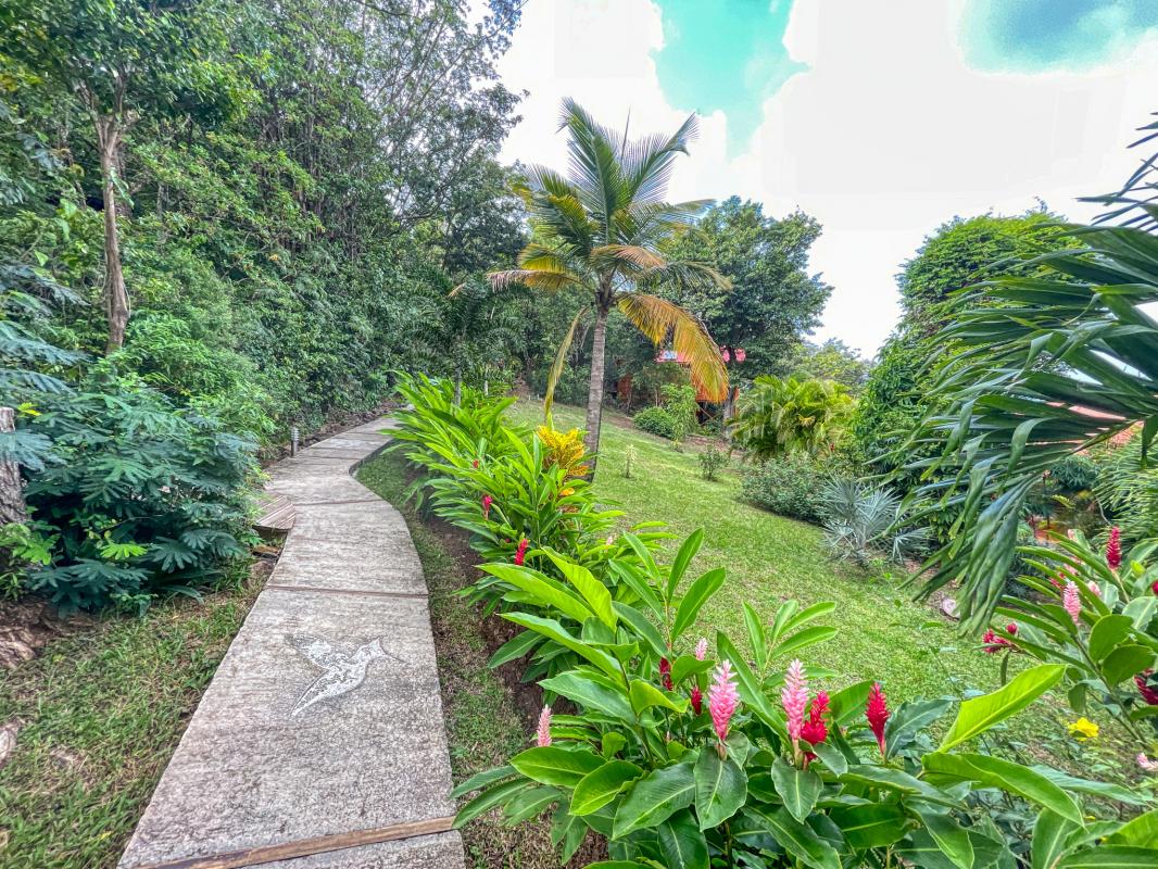 Location jungle lodge pour 4 personnes avec piscine au jardin des colibris deshaies en guadeloupe