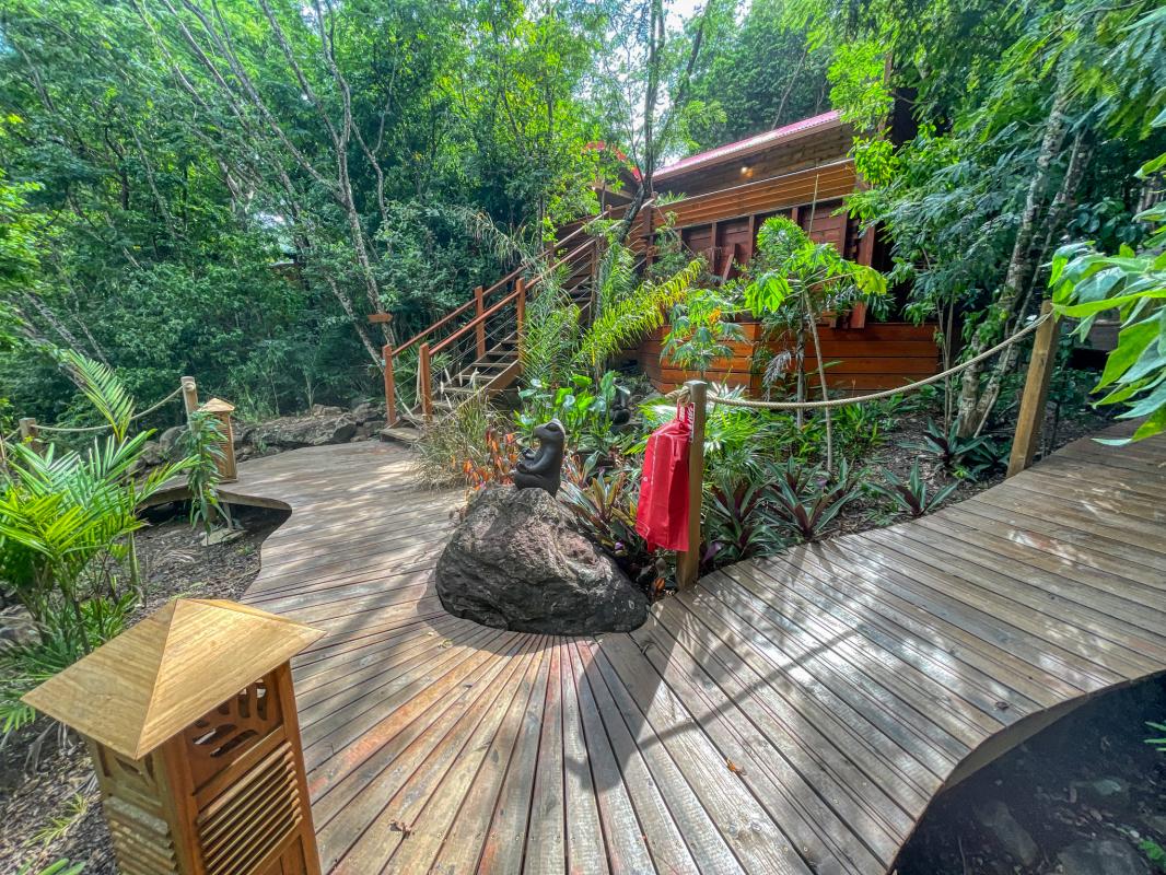 Location jungle lodge pour 4 personnes avec piscine au jardin des colibris deshaies en guadeloupe