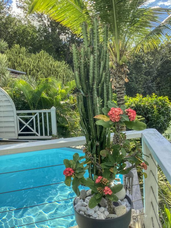 Location Villa Deshaies Guadeloupe piscine vue mer - piscine