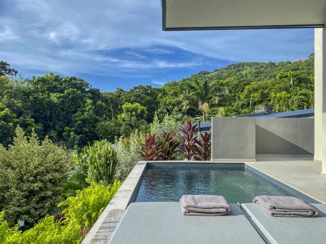 Location villa Deshaies Guadeloupe-piscine