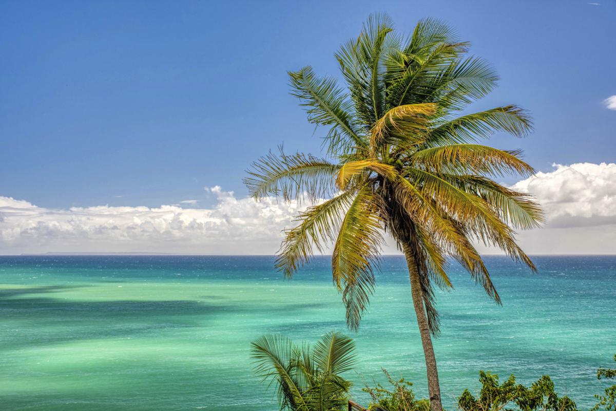 A louer villa 4 chambres au Gosier avec piscine et vue mer - VUE MER