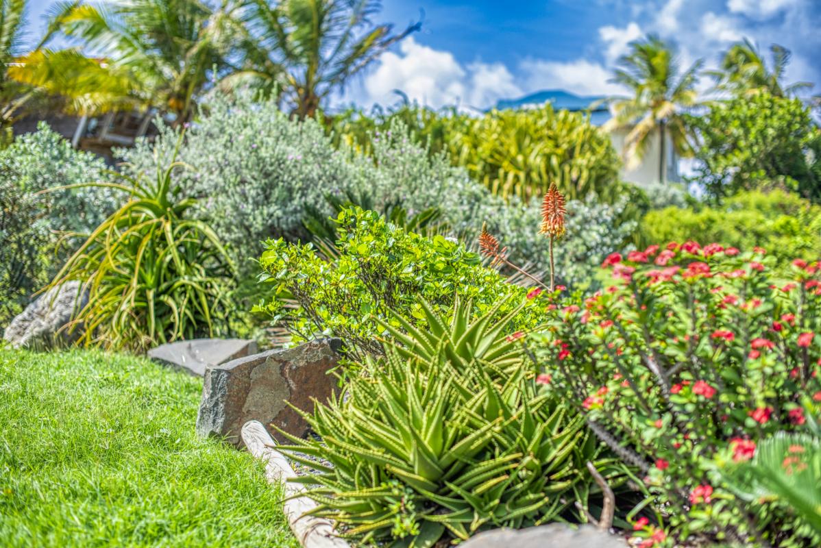 Location villa piscine accès et vue mer Le Moule Guadeloupe_jardin