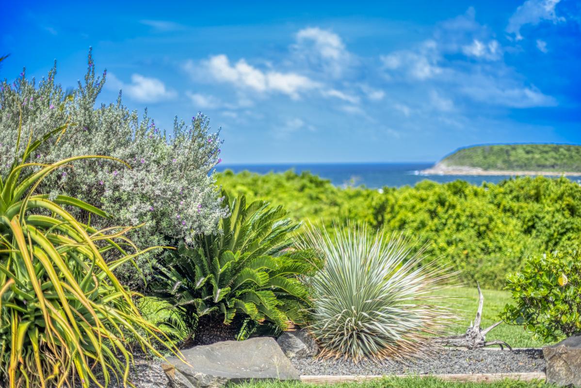 Location villa piscine accès et vue mer Le Moule Guadeloupe_vue mer