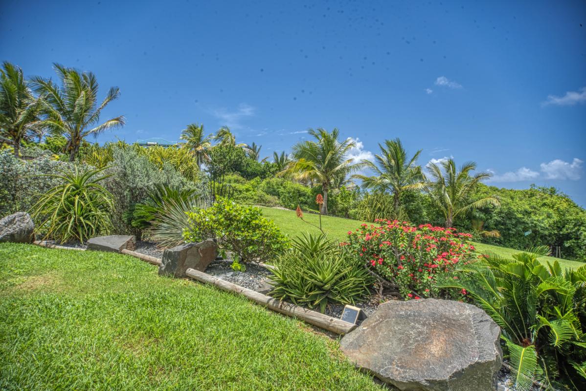 Location villa piscine accès et vue mer Le Moule Guadeloupe_jardin