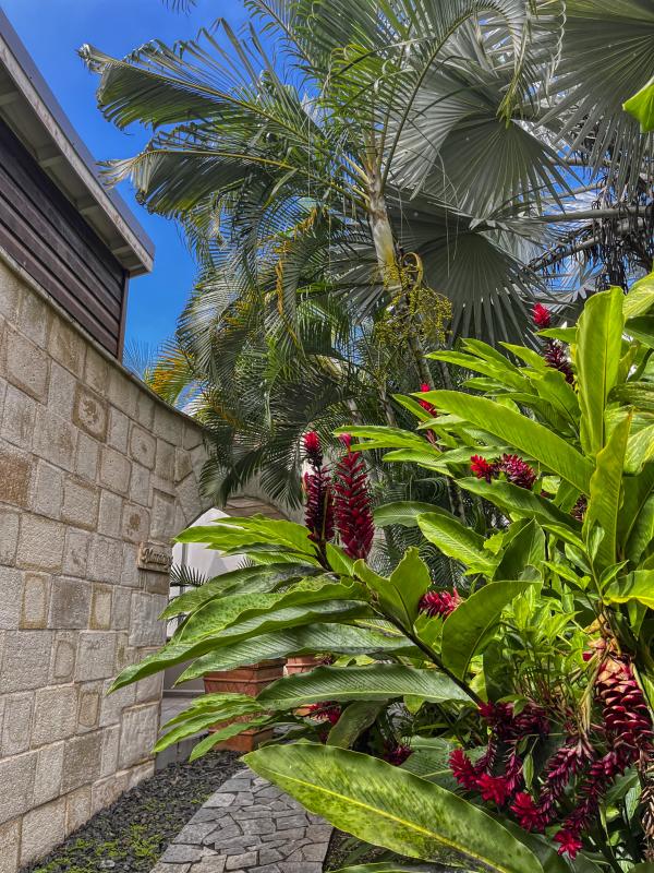 Lodge à louer pour 2 personnes avec piscine privée à Petit Bourg Guadeloupe