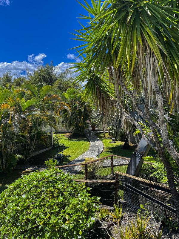Lodge à louer pour 4 personnes avec piscine privée à Petit Bourg Guadeloupe