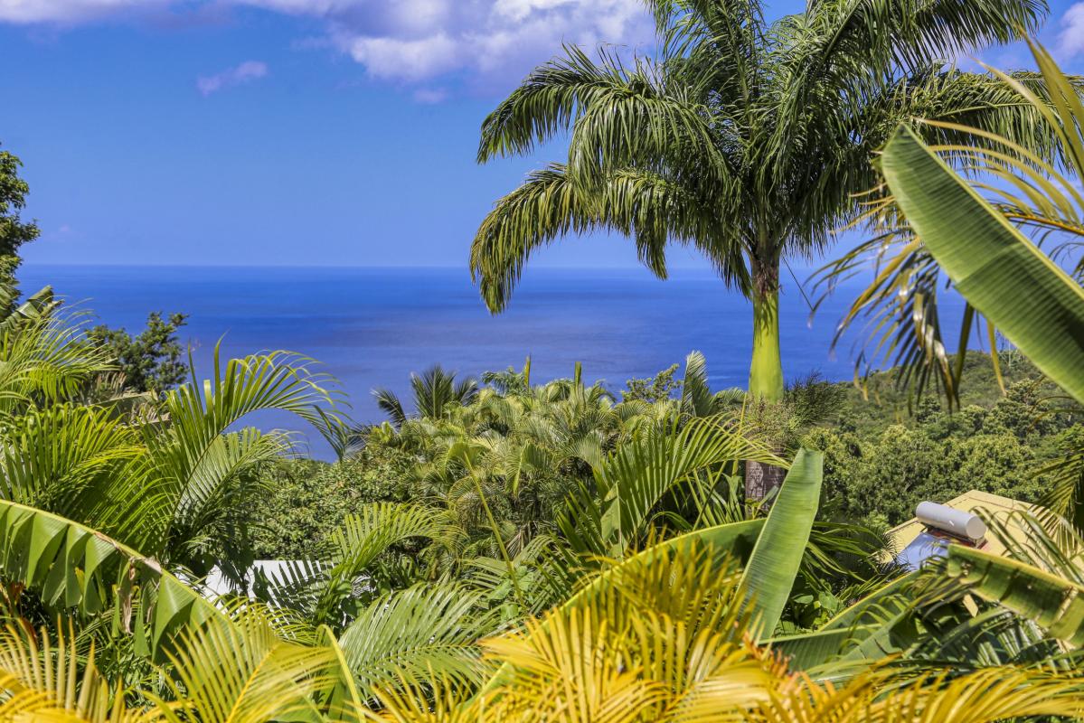A louer villa 2 chambres Pointe Noire Guadeloupe_ Vue Mer 