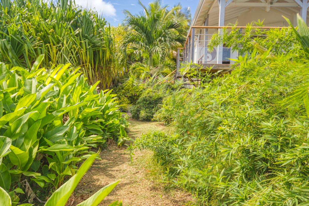 Villa de luxe vue mer avec piscine à Ste Anne en Guadeloupe 