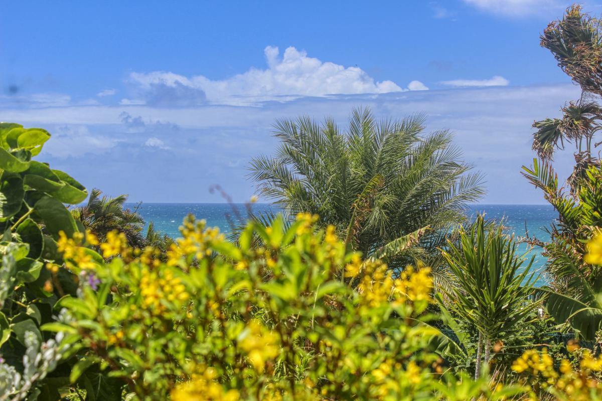Villa 1 chambre pour 2 personnes avec piscine vue mer Ste Anne Guadeloupe