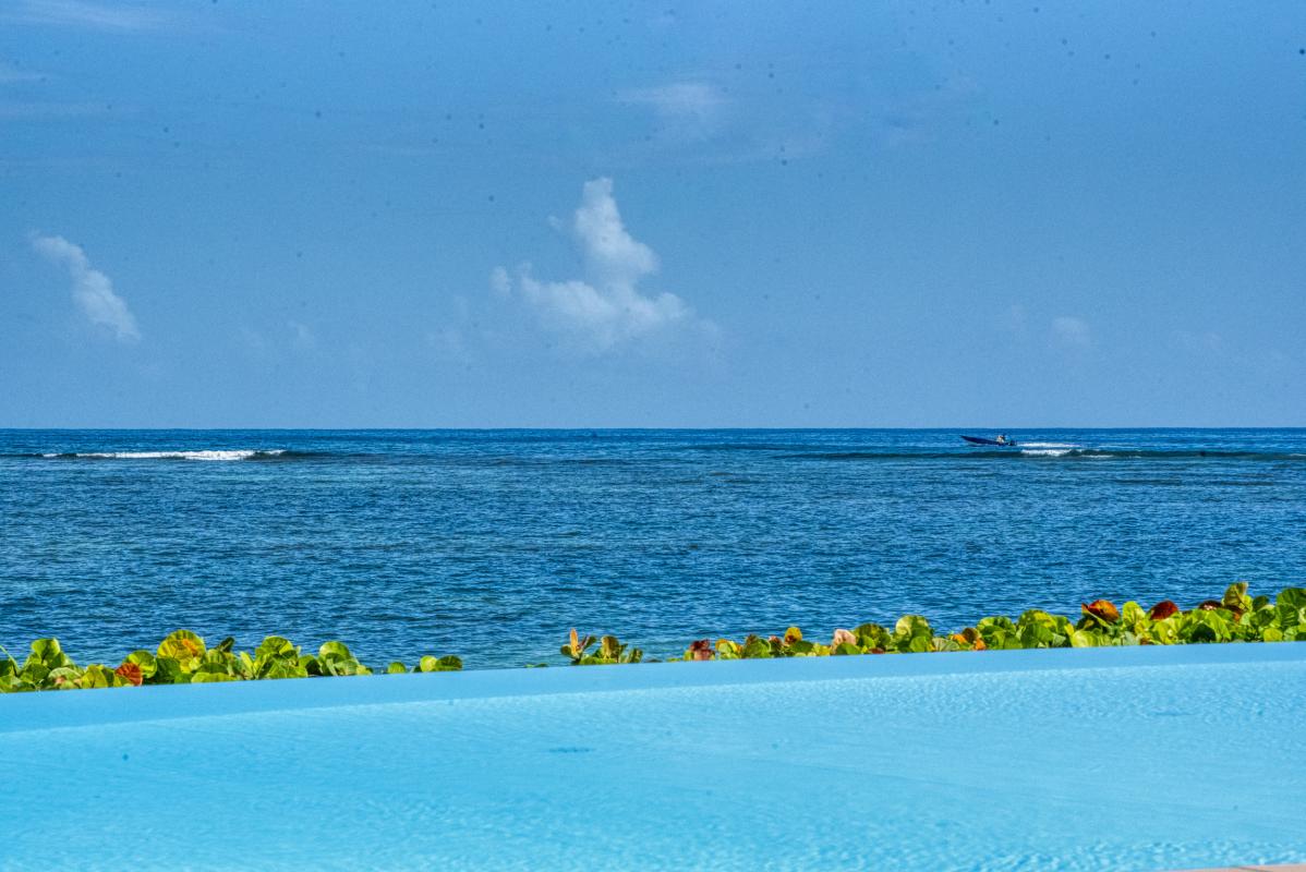 Location appartement pieds dans l'eau Sainte Anne Guadeloupe_piscine vue mer