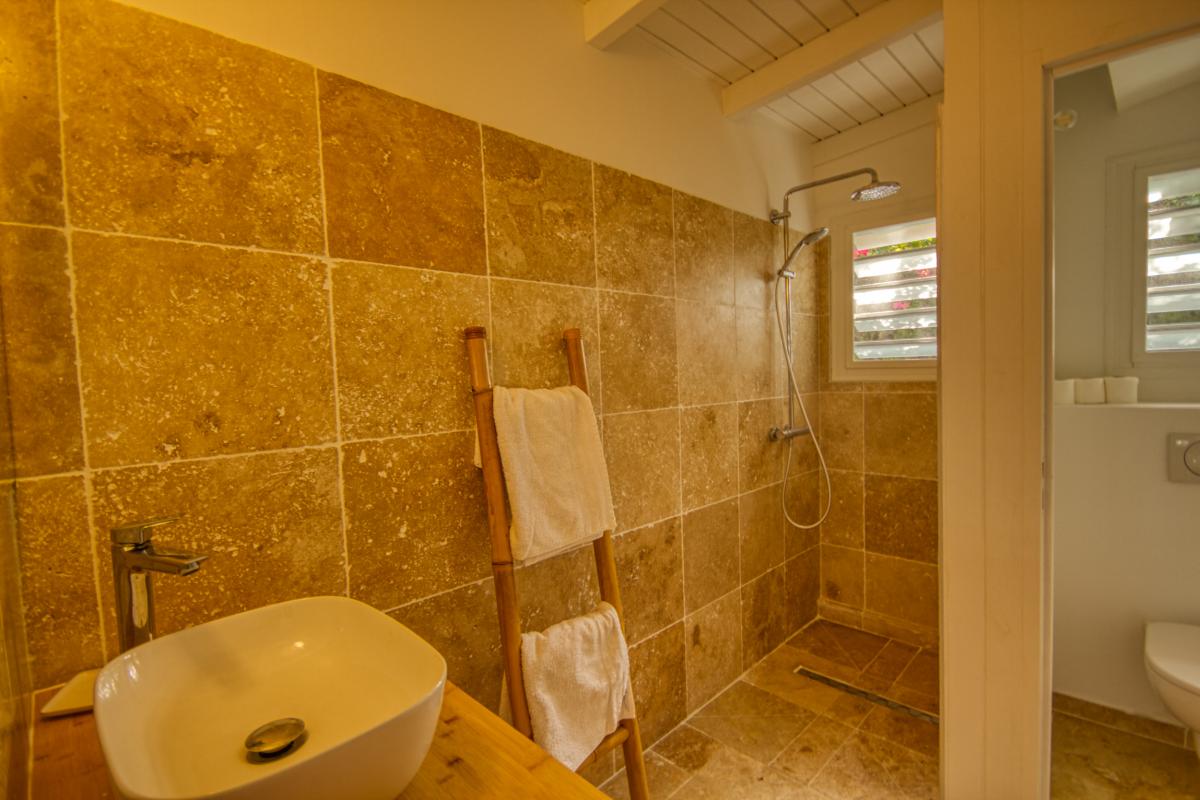 villa swimming pool and ocean view - the pool and terrace