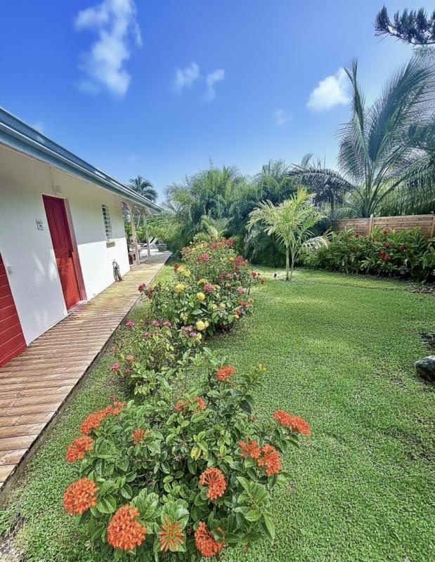 A louer villa 5 chambres Saint François Guadeloupe-jardin
