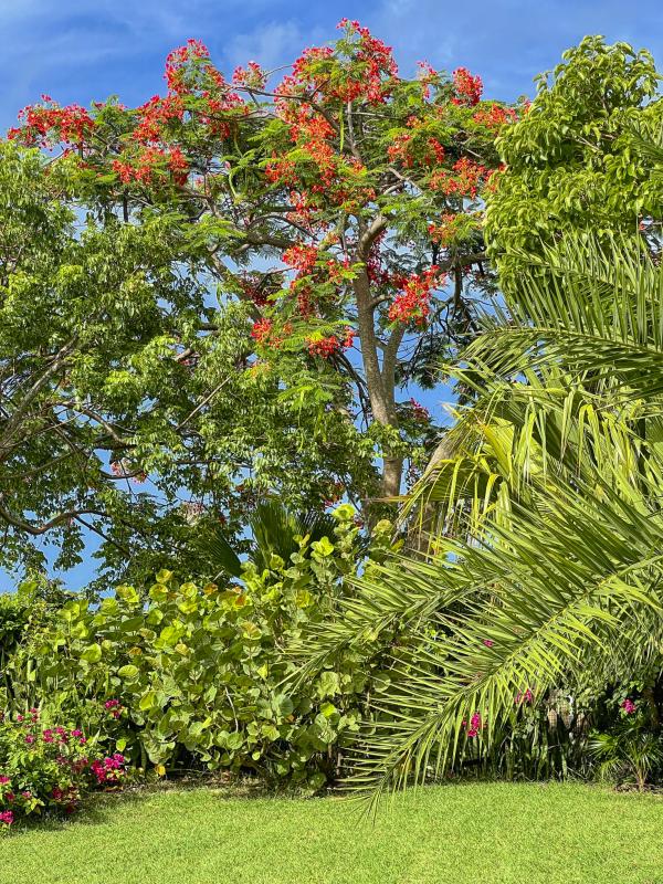 Location villa 6 personnes Saint François Guadeloupe-exterieur