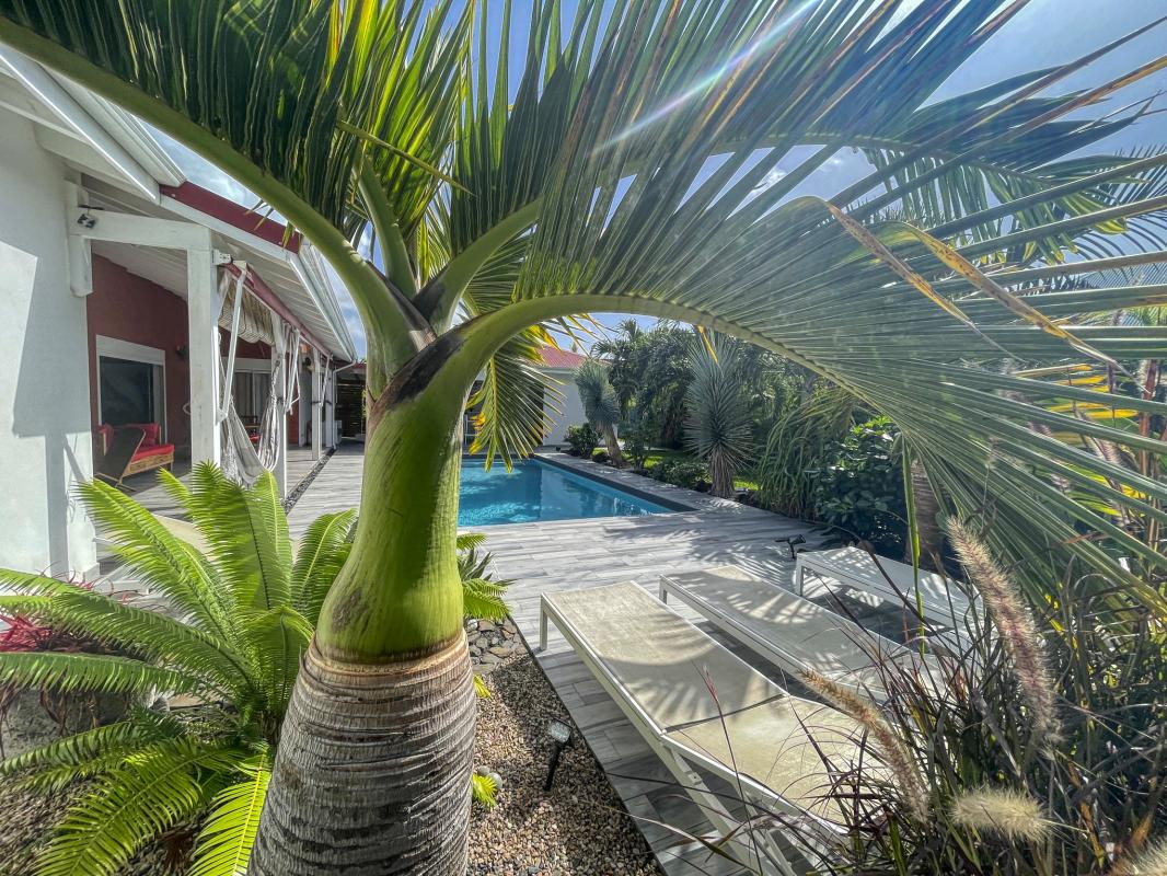 Location villa avec piscine Saint François Guadeloupe_ Piscine 