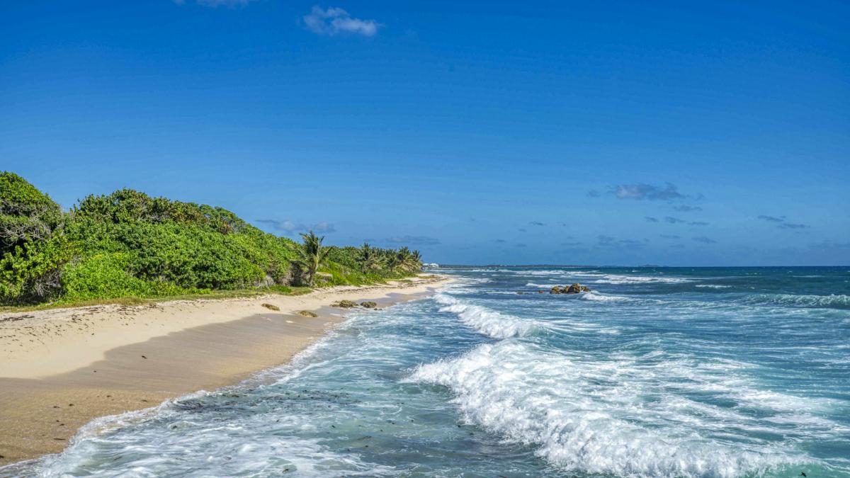 A louer villa pieds dans l'eau Saint François Guadeloupe-vue ensemble