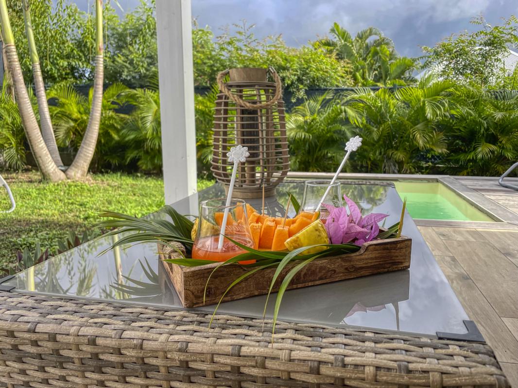 Location Villa 1 chambre Saint François Guadeloupe-fruits
