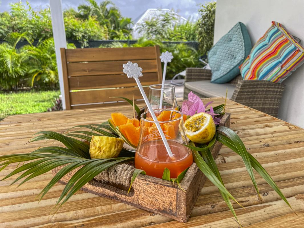 Location Villa 1 chambre Saint François Guadeloupe-fruits